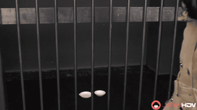 Amina Kiuchi Slave Wife Amina Kiuchi Leashed And Creampied